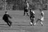 mv_goal_700_gs.jpg (244438 bytes)