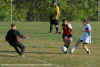 mv_goal_700.jpg (408880 bytes)